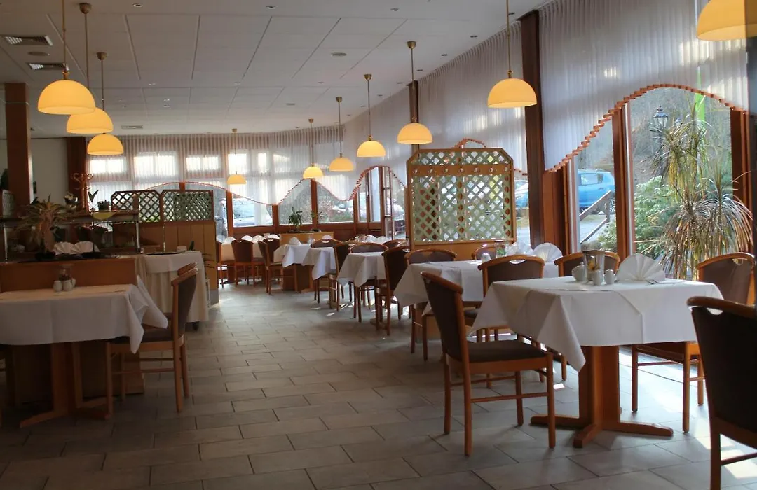 Kurpark Hotel Im Ilsetal-1